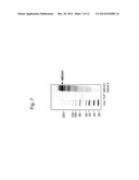 ANTIBODY BINDING TO ABCA1 POLYPEPTIDE diagram and image