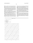 THERAPEUTIC AGENT FOR AUTOIMMUNE DISEASES OR ALLERGY, AND METHOD FOR     SCREENING FOR THE THERAPEUTIC AGENT diagram and image