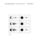 TESTING DEVICE FOR IDENTIFYING ANTIGENS AND ANTIBODIES IN BIOFLUIDS diagram and image