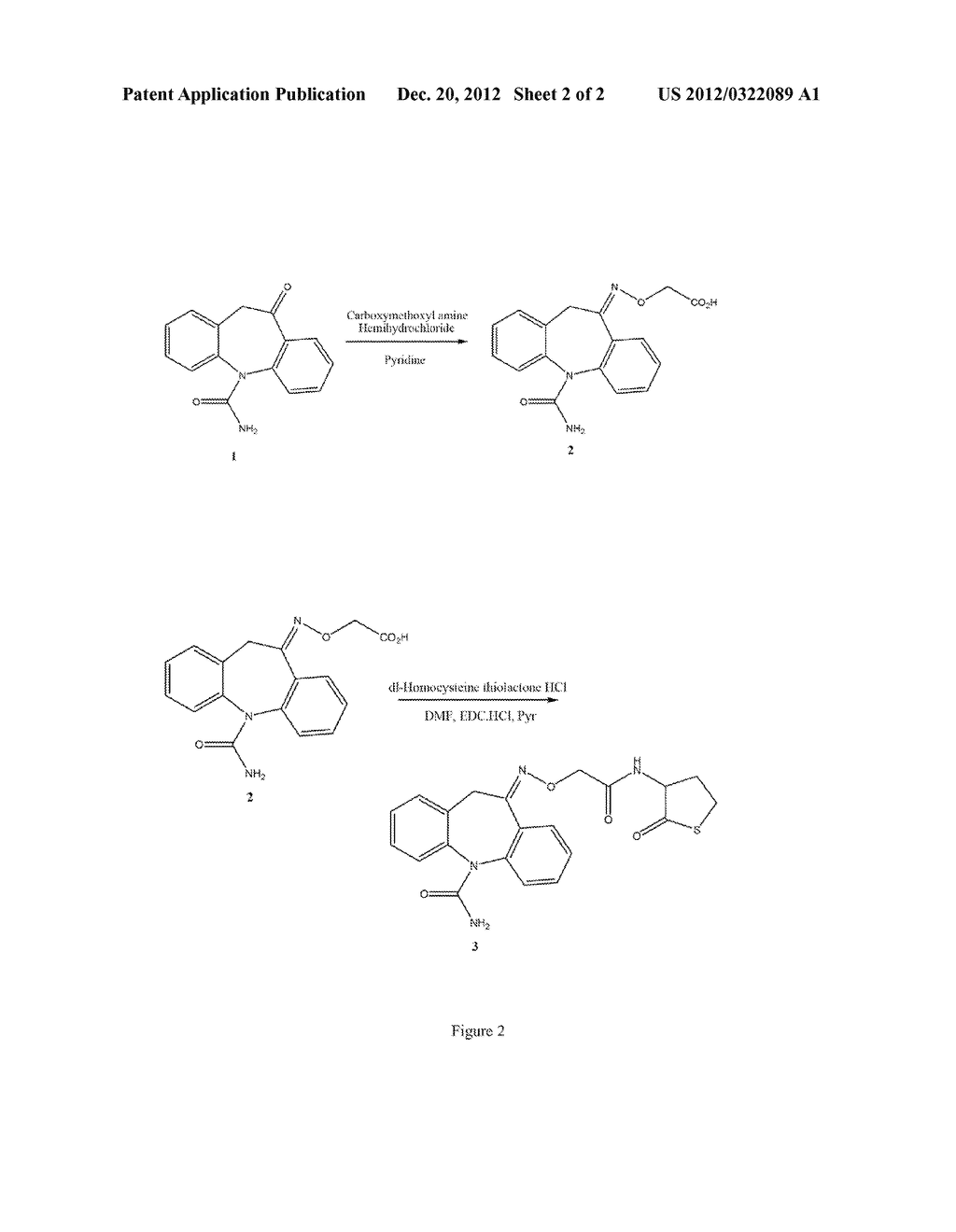 SENSITIVE AND GENERIC ANTIBODIES AND MULTIPLE APPLICATIONS - diagram, schematic, and image 03