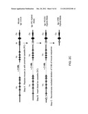 Adam6 Mice diagram and image