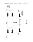 Adam6 Mice diagram and image