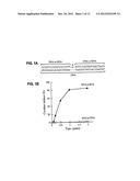 Covalent Joining of DNA Strands to RNA Strands Catalyzed by Vaccinia     Topoisomerase diagram and image