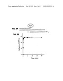 Covalent Joining of DNA Strands to RNA Strands Catalyzed by Vaccinia     Topoisomerase diagram and image