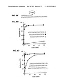 Covalent Joining of DNA Strands to RNA Strands Catalyzed by Vaccinia     Topoisomerase diagram and image