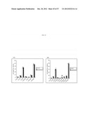 METHOD FOR TRANSFORMING STRAMENOPILES diagram and image