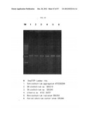 METHOD FOR TRANSFORMING STRAMENOPILES diagram and image