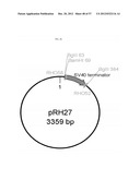 METHOD FOR TRANSFORMING STRAMENOPILES diagram and image