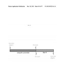 METHOD FOR TRANSFORMING STRAMENOPILES diagram and image