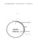 METHOD FOR TRANSFORMING STRAMENOPILES diagram and image