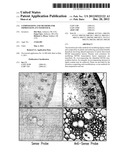 COMPOSITIONS AND METHODS FOR IMPROVED PLANT FEEDSTOCK diagram and image