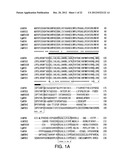 COMPOSITIONS AND METHODS FOR IMPROVED PLANT FEEDSTOCK diagram and image