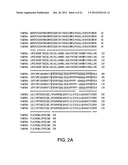 COMPOSITIONS AND METHODS FOR IMPROVED PLANT FEEDSTOCK diagram and image