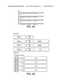 COMPOSITIONS AND METHODS FOR IMPROVED PLANT FEEDSTOCK diagram and image