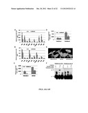 COMPOSITIONS AND METHODS FOR IMPROVED PLANT FEEDSTOCK diagram and image