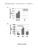 COMPOSITIONS AND METHODS FOR IMPROVED PLANT FEEDSTOCK diagram and image