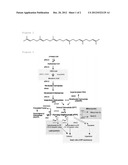 MODIFIED YEAST STRAIN AND A METHOD FOR PRODUCING SQUALENE USING THE SAME diagram and image