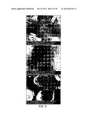 THREE-DIMENSIONAL CELL ADHESION MATRIX diagram and image