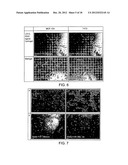 THREE-DIMENSIONAL CELL ADHESION MATRIX diagram and image