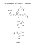 THREE-DIMENSIONAL CELL ADHESION MATRIX diagram and image