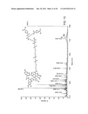 THREE-DIMENSIONAL CELL ADHESION MATRIX diagram and image