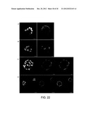 THREE-DIMENSIONAL CELL ADHESION MATRIX diagram and image