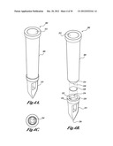 FLUORESCENT pH DETECTOR SYSTEM AND RELATED METHODS diagram and image