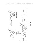 FLUORESCENT pH DETECTOR SYSTEM AND RELATED METHODS diagram and image