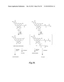 FLUORESCENT pH DETECTOR SYSTEM AND RELATED METHODS diagram and image