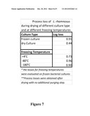 DRY GLASSY COMPOSITION COMPRISING A BIOACTIVE MATERIAL diagram and image