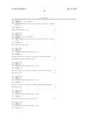 SYSTEM AND METHOD FOR DETECTION OF HIV-1 CLADES AND RECOMBINANTS OF THE     REVERSE TRANSCRIPTASE AND PROTEASE REGIONS diagram and image