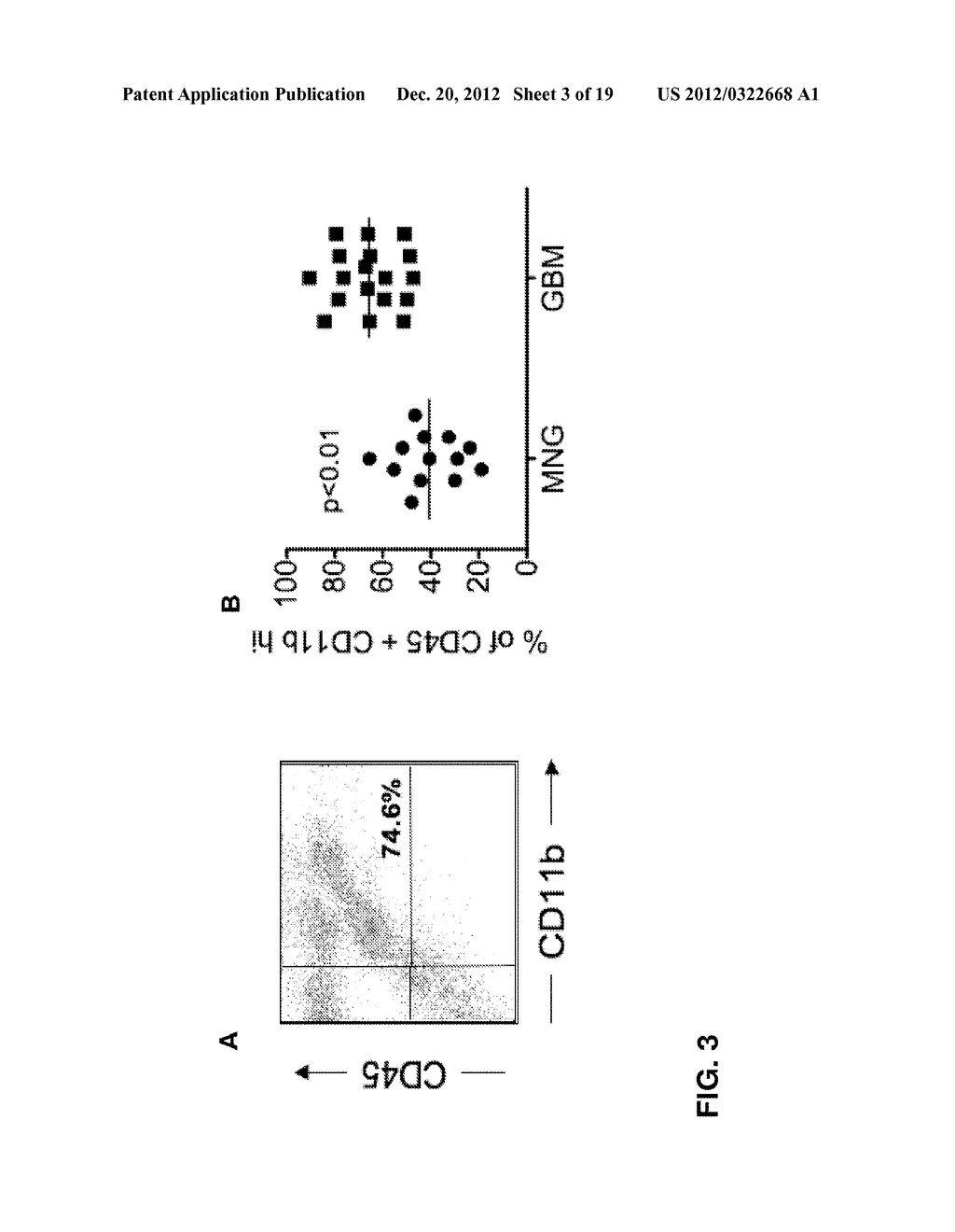 ASSESSMENT OF SOLID TUMOR BURDEN - diagram, schematic, and image 04