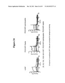 MODIFIED RECOMBINANT FACTOR VIII AND VON WILLEBRAND FACTOR AND METHODS OF     USE diagram and image