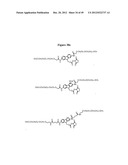 MODIFIED RECOMBINANT FACTOR VIII AND VON WILLEBRAND FACTOR AND METHODS OF     USE diagram and image