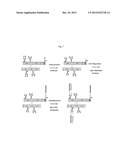 CONJUGATED FVIII VARIANTS diagram and image