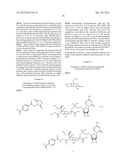 CONJUGATED FVIII VARIANTS diagram and image