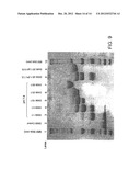 POLY-PEGYLATED PROTEASE INHIBITORS diagram and image