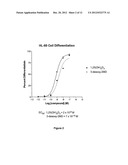 3-Desoxy-2-Methylene-19-Nor-Vitamin D Analogs and Their Uses diagram and image