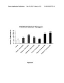 3-Desoxy-2-Methylene-19-Nor-Vitamin D Analogs and Their Uses diagram and image