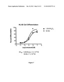 3-Desoxy-2-Methylene-19-Nor-Vitamin D Analogs and Their Uses diagram and image