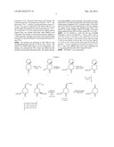 3-Desoxy-2-Methylene-19-Nor-Vitamin D Analogs and Their Uses diagram and image