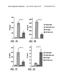 Estriol Therapy for Autoimmune and Neurodegenerative Diseases and     Disorders diagram and image