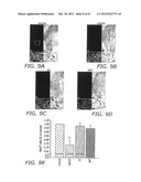 Estriol Therapy for Autoimmune and Neurodegenerative Diseases and     Disorders diagram and image