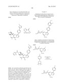 PYRAZOLO[1,5-a]PYRIMIDINE COMPOUNDS AS mTOR INHIBITORS diagram and image