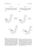 PYRAZOLO[1,5-a]PYRIMIDINE COMPOUNDS AS mTOR INHIBITORS diagram and image