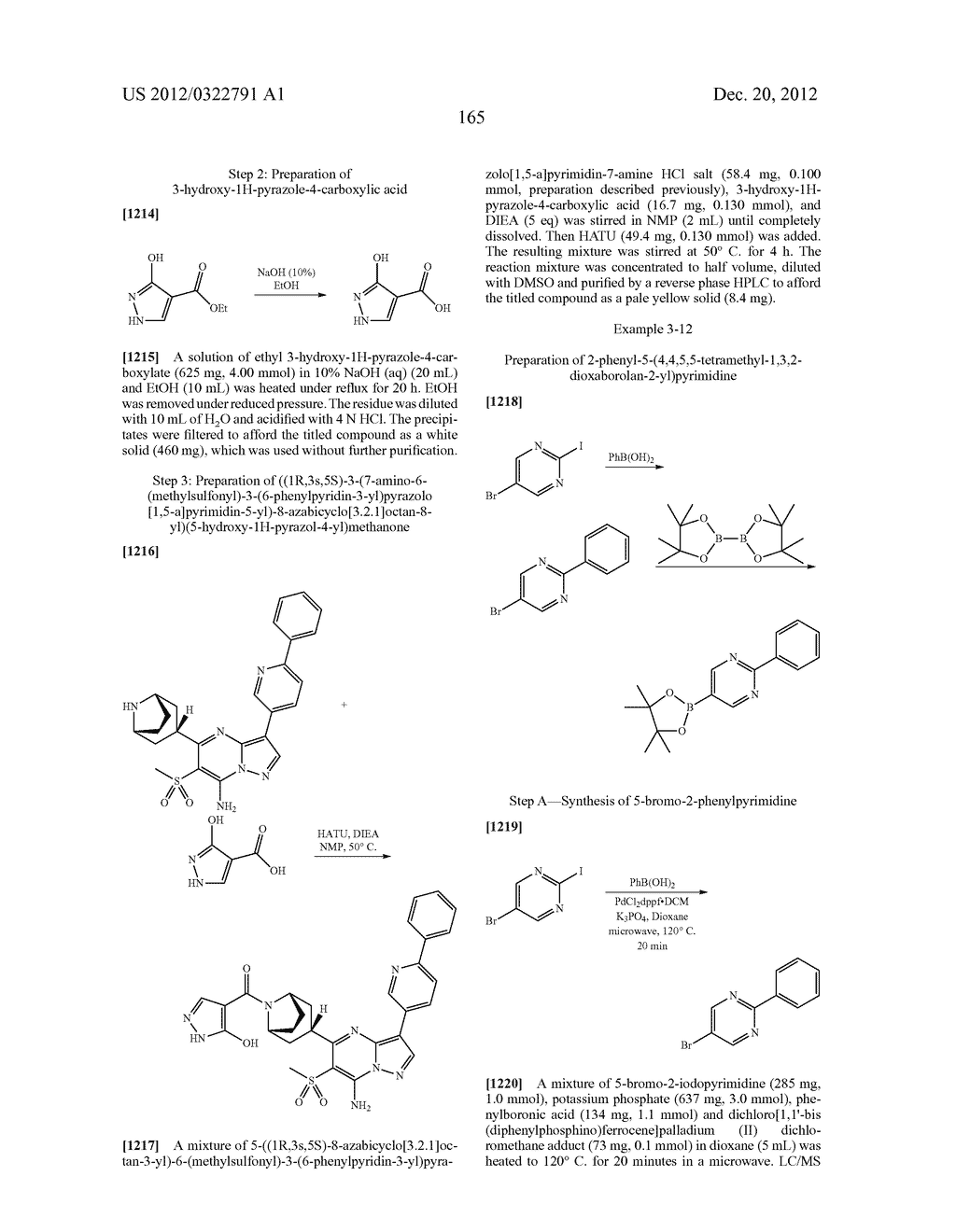 PYRAZOLO[1,5-a]PYRIMIDINE COMPOUNDS AS mTOR INHIBITORS - diagram, schematic, and image 166