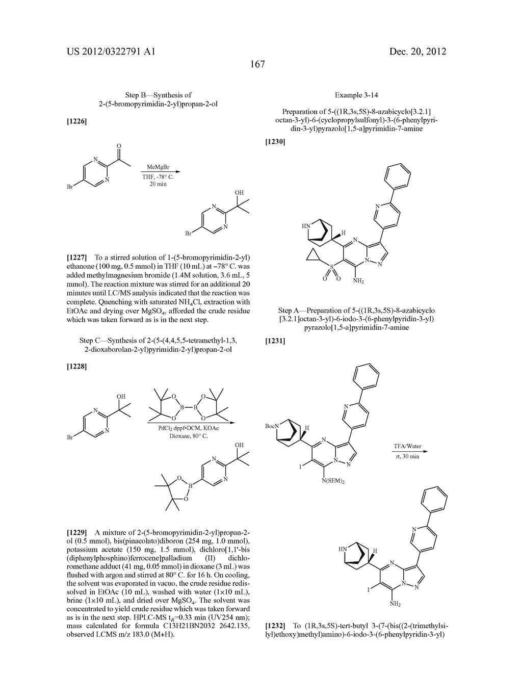 PYRAZOLO[1,5-a]PYRIMIDINE COMPOUNDS AS mTOR INHIBITORS - diagram, schematic, and image 168
