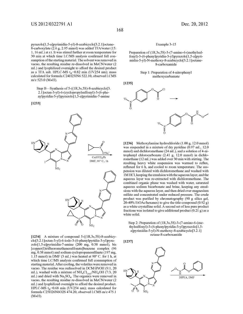 PYRAZOLO[1,5-a]PYRIMIDINE COMPOUNDS AS mTOR INHIBITORS - diagram, schematic, and image 169