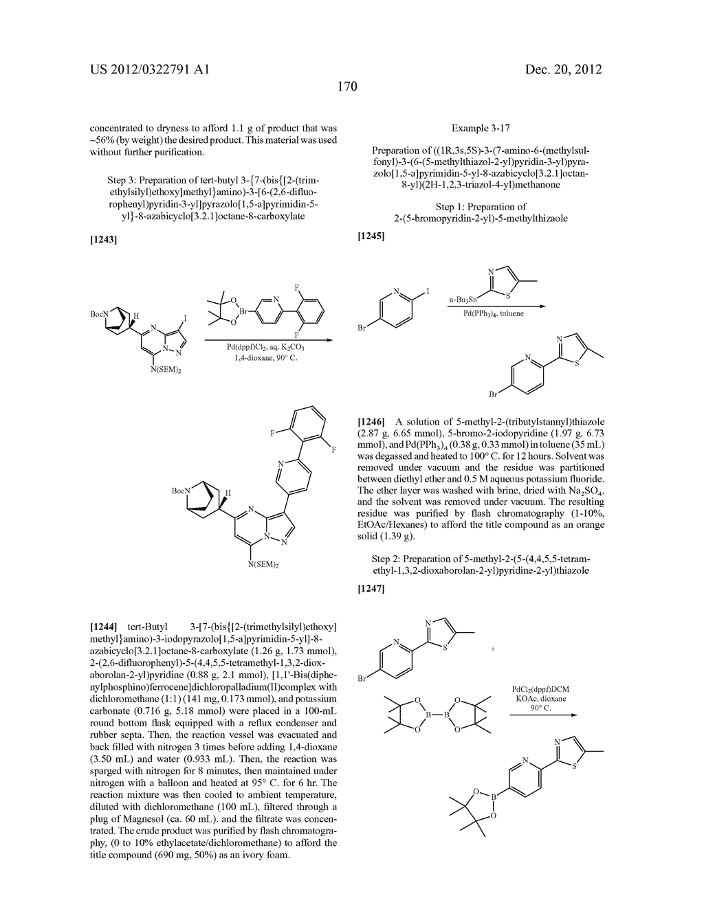 PYRAZOLO[1,5-a]PYRIMIDINE COMPOUNDS AS mTOR INHIBITORS - diagram, schematic, and image 171