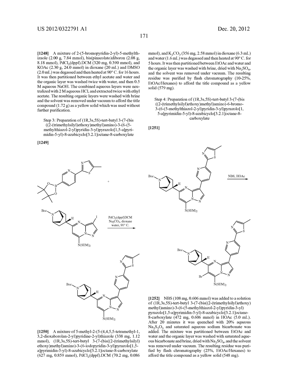 PYRAZOLO[1,5-a]PYRIMIDINE COMPOUNDS AS mTOR INHIBITORS - diagram, schematic, and image 172